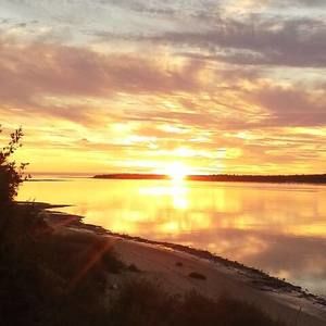 Meet your Posher, Elmer alex